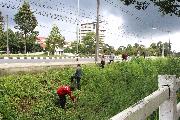 image1.jpg