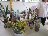 image1.jpg