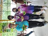 image1.jpg