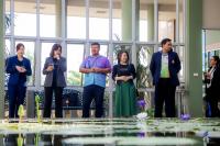 image1.jpg