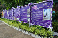 image1.jpg