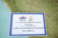 image1.jpg