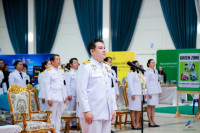 image1.jpg