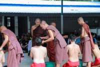 image1.jpg