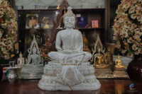image1.jpg