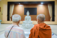 image1.jpg